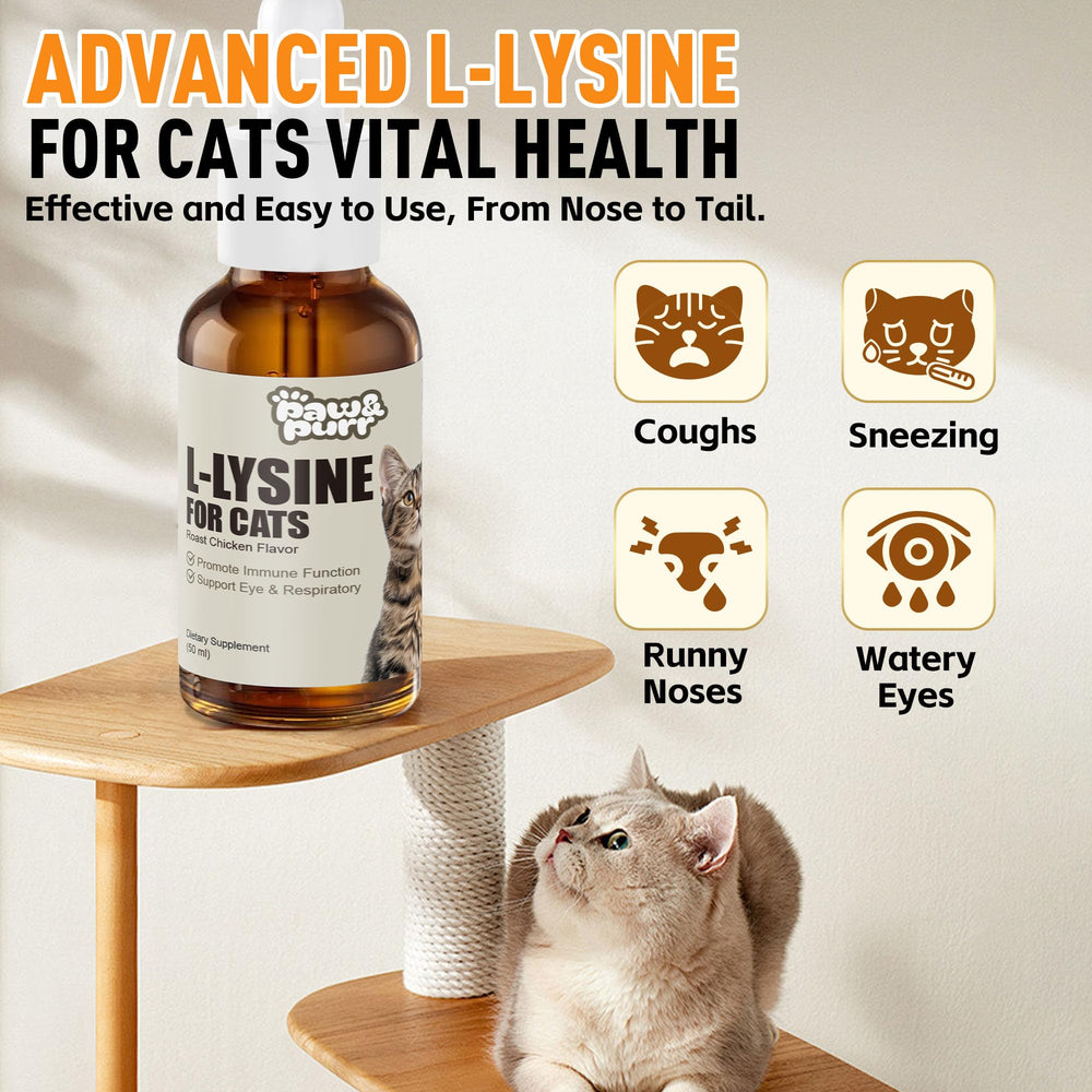 Paw & Purr Lysine drops with dropper for precise daily dosing.