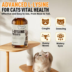 Paw & Purr Lysine drops with dropper for precise daily dosing.