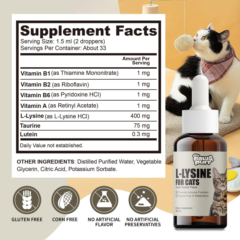 Paw & Purr Lysine dropper ready for quick dosing.