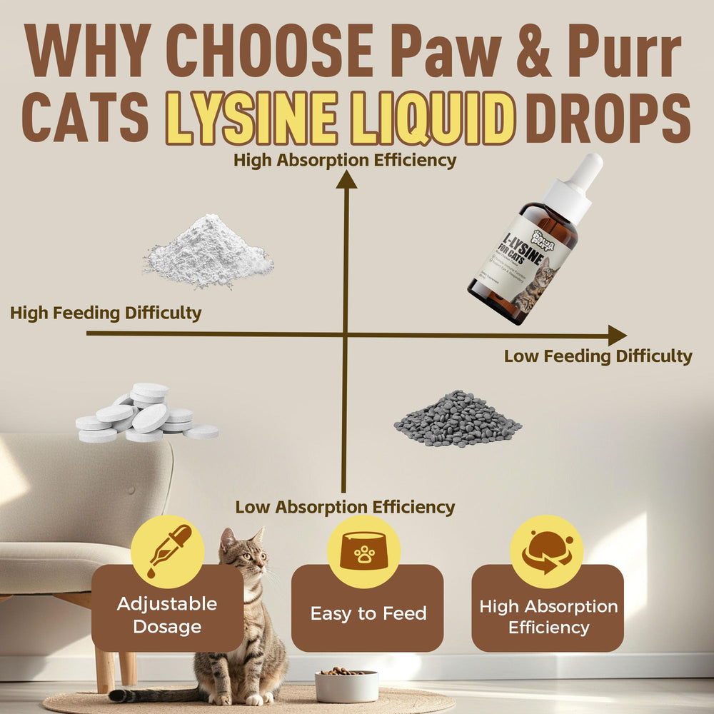 Label on Paw & Purr Lysine highlights lutein and vitamins for eye health.