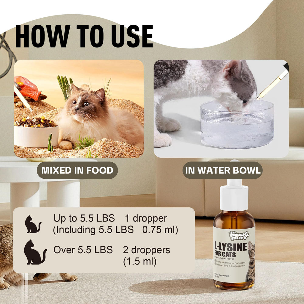 Paw & Purr Lysine with taurine noted for potential heart support.