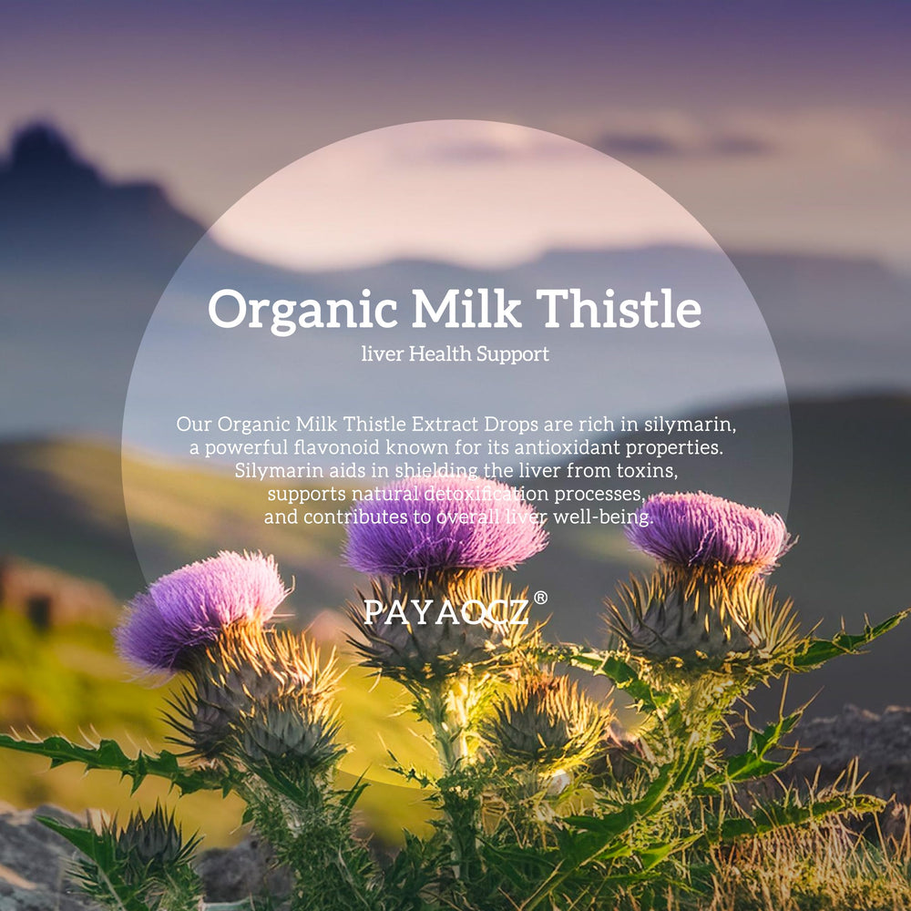 PAYAOCZ Organic Milk Thistle Extract 2-pack for convenient use.