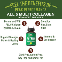 Peak Performance collagen-types icons illustrating the five collagen types