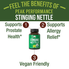 Peak Performance nettle leaf powder close-up showing natural origin