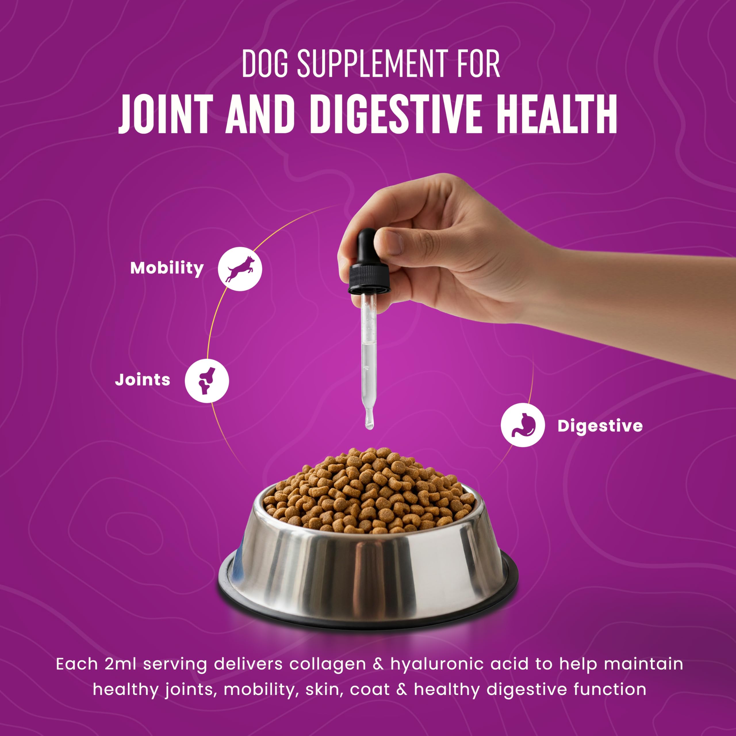 Peak Pets Collagen for Dogs skin and coat sheen promotes healthy fur.
