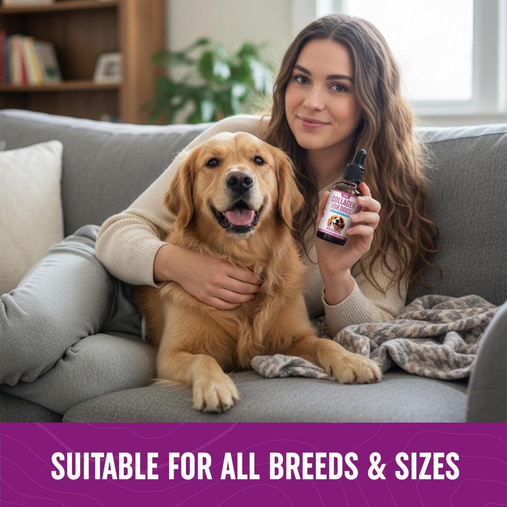 Peak Pets Premium Liquid Collagen with types I, II & III and hyaluronic acid.