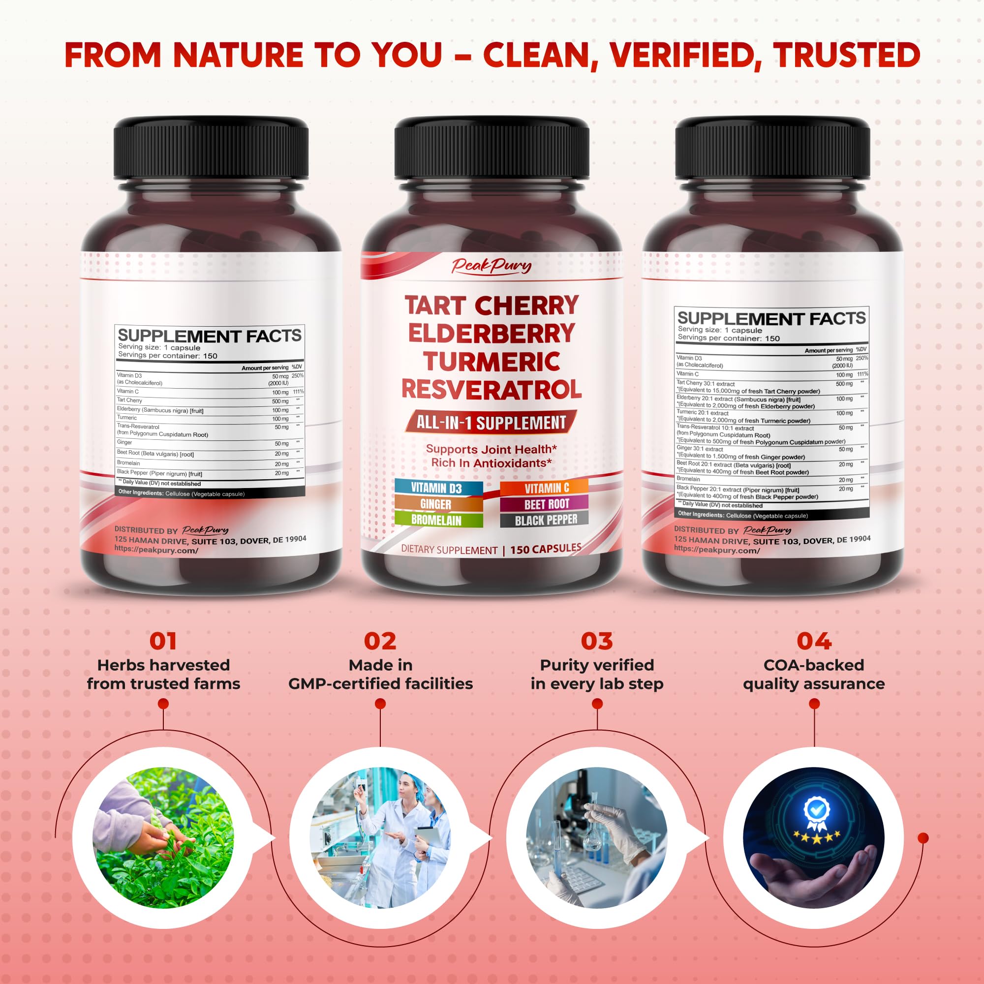 Pouring PeakPury capsules into a daily routine for easy use