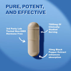 PeakVigor Ashwagandha root powder visual highlights natural potency