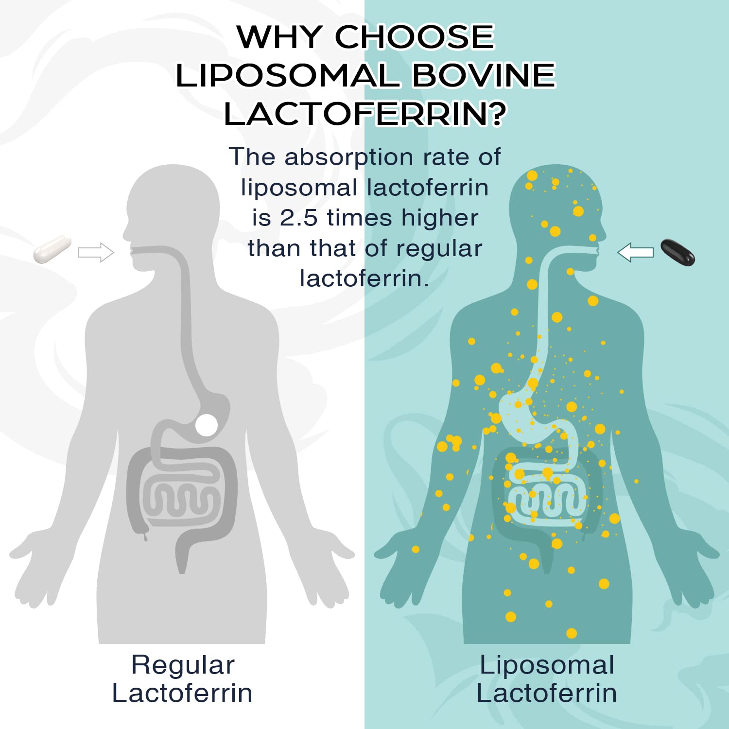 Pepeior lactoferrin label notes 60 softgels per bottle for a two-bottle pack.