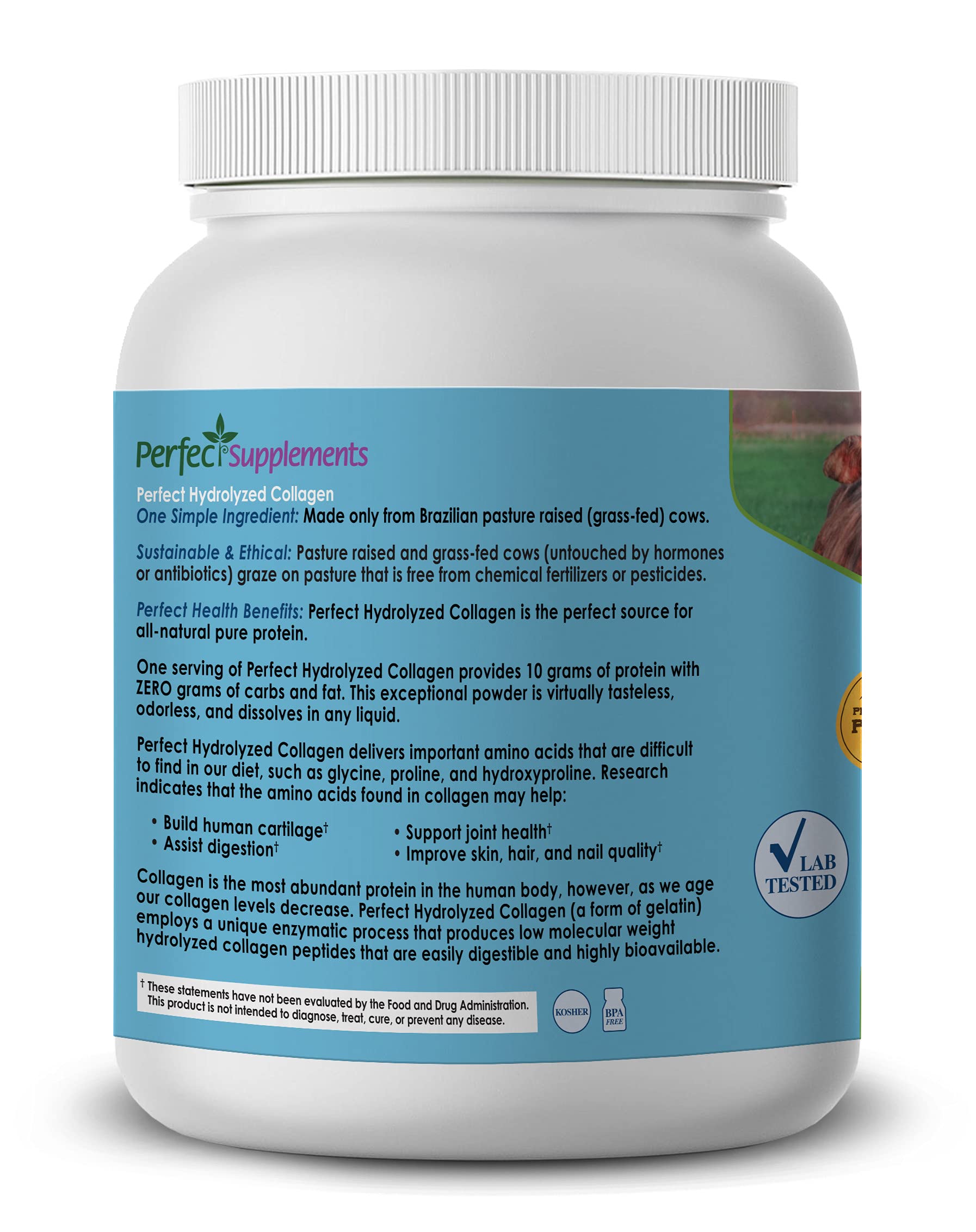 Perfect Supplements collagen powder dissolving in water demonstrates high bioavailability and easy mixing