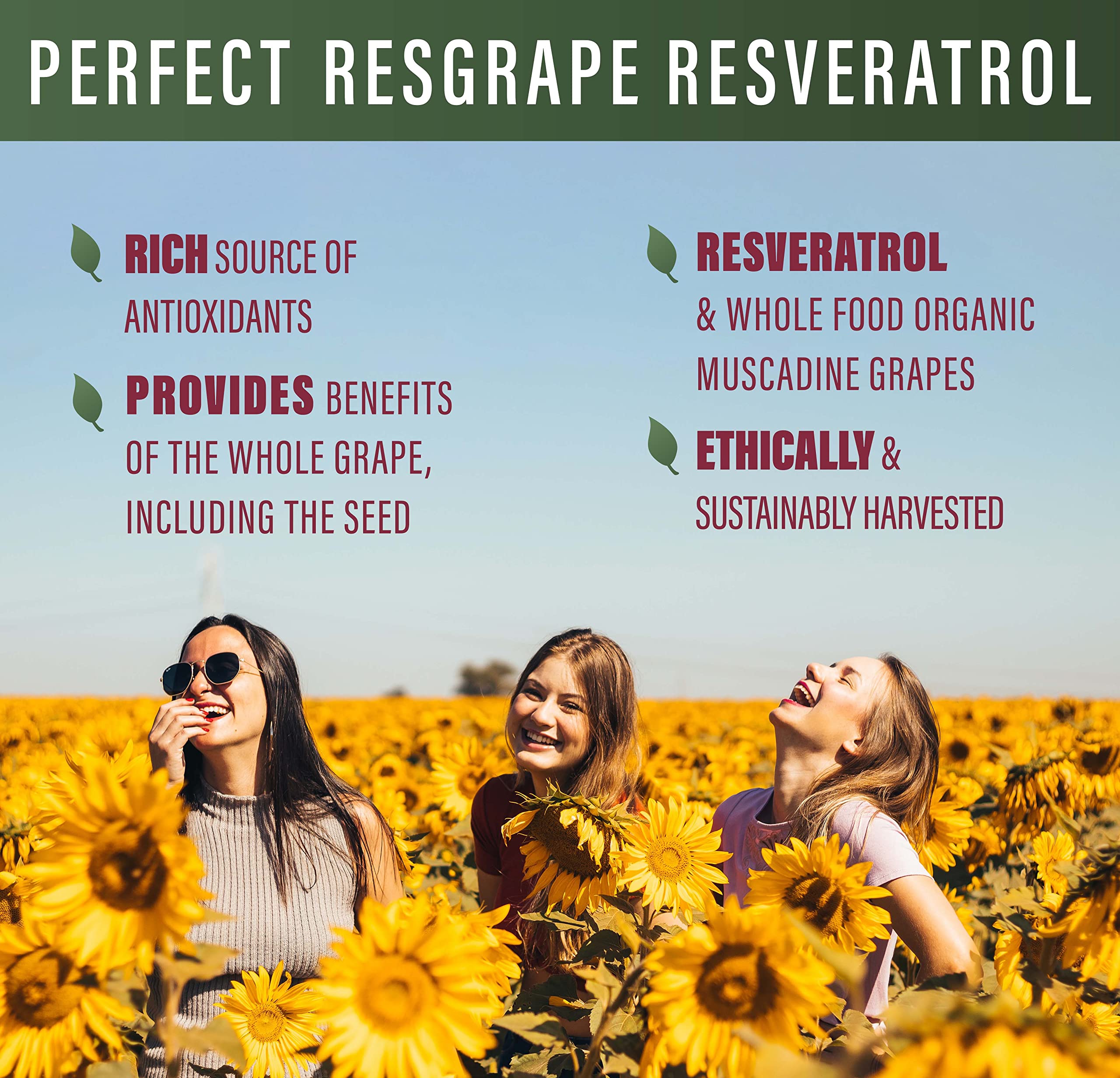 Perfect ResGrape organic muscadine grapes image emphasizing antioxidants