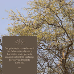 Oxhala pour oil demonstrates precise dispensing for diffusers.