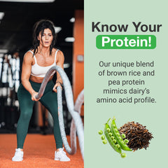 Front view of PEScience Select Vegan Cinnamon Delight protein tub.
