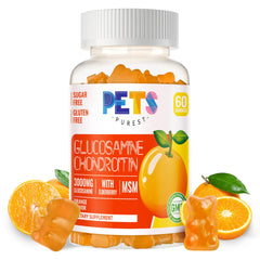 Pets Purest glucosamine chondroitin gummies bottle front for tasty joint support