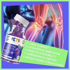 Pets Purest joint-support gummies illustrating potential mobility and comfort benefits