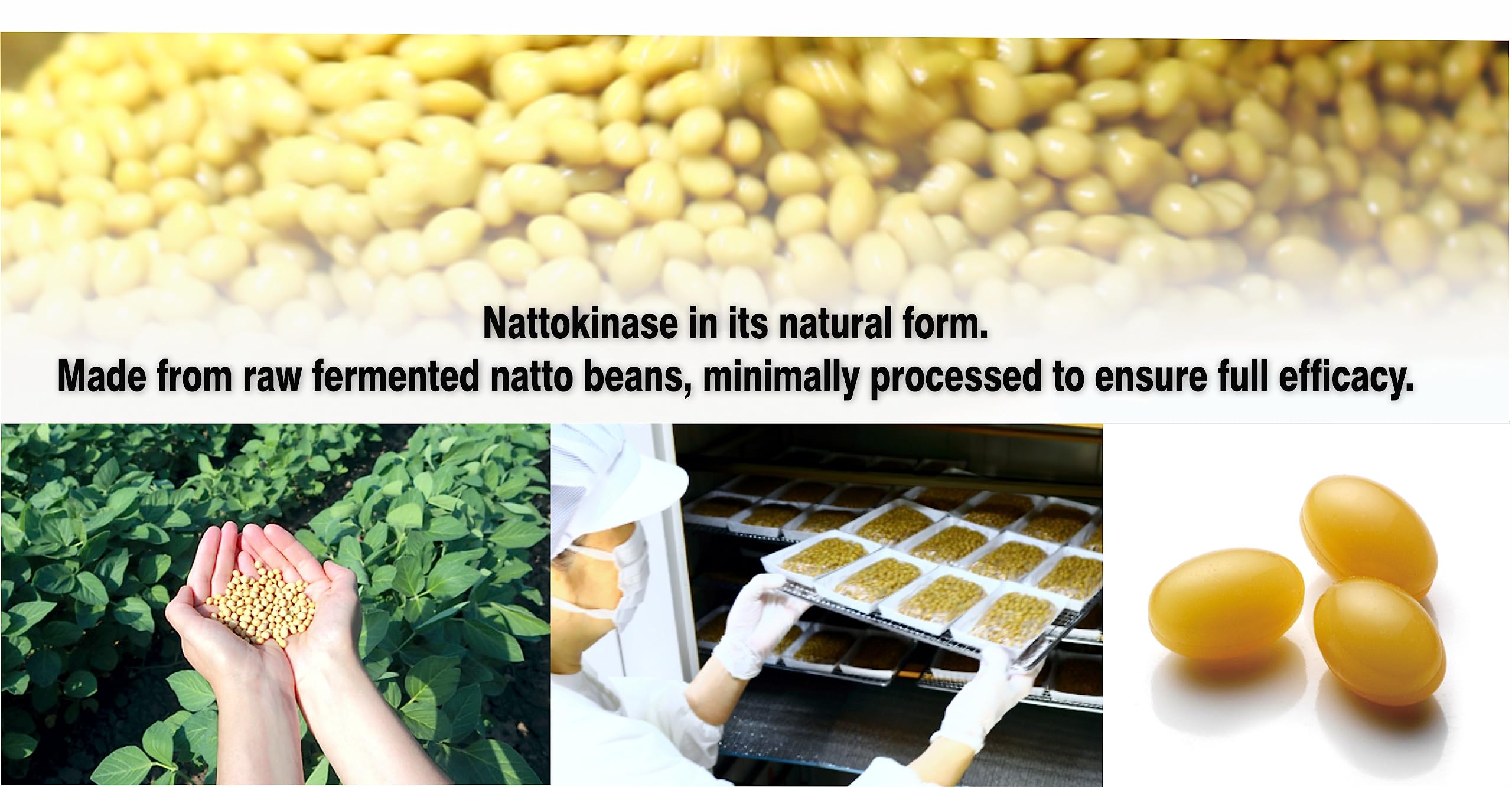PHARMAKON organic soybeans used in nattokinase extract for purity.
