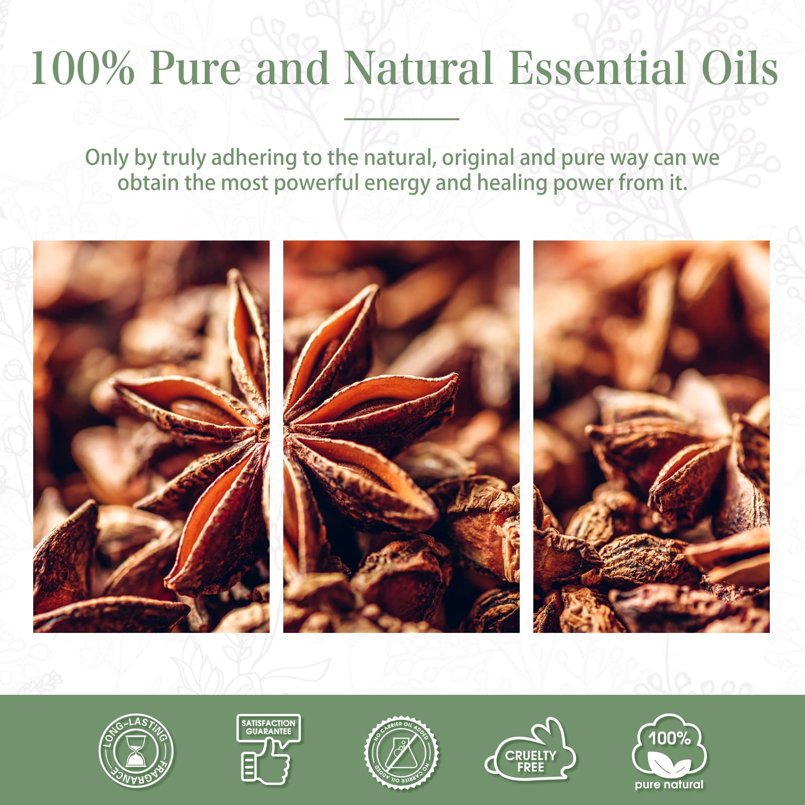 PHATOIL Anise Star gift packaging highlights premium presentation.