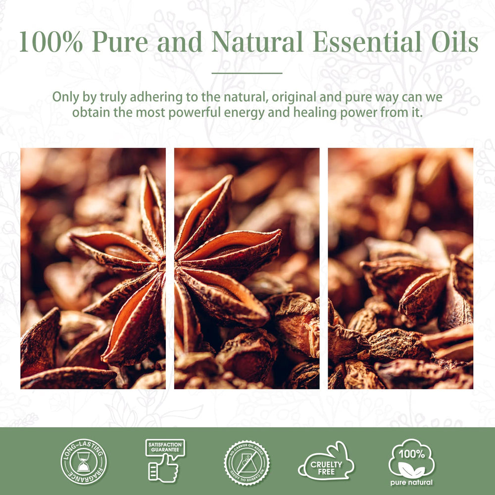 PHATOIL Anise Star gift packaging highlights premium presentation.