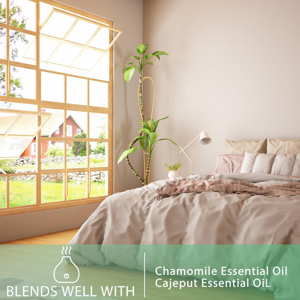 PHATOIL camphor essential oil for bath bombs and soaps