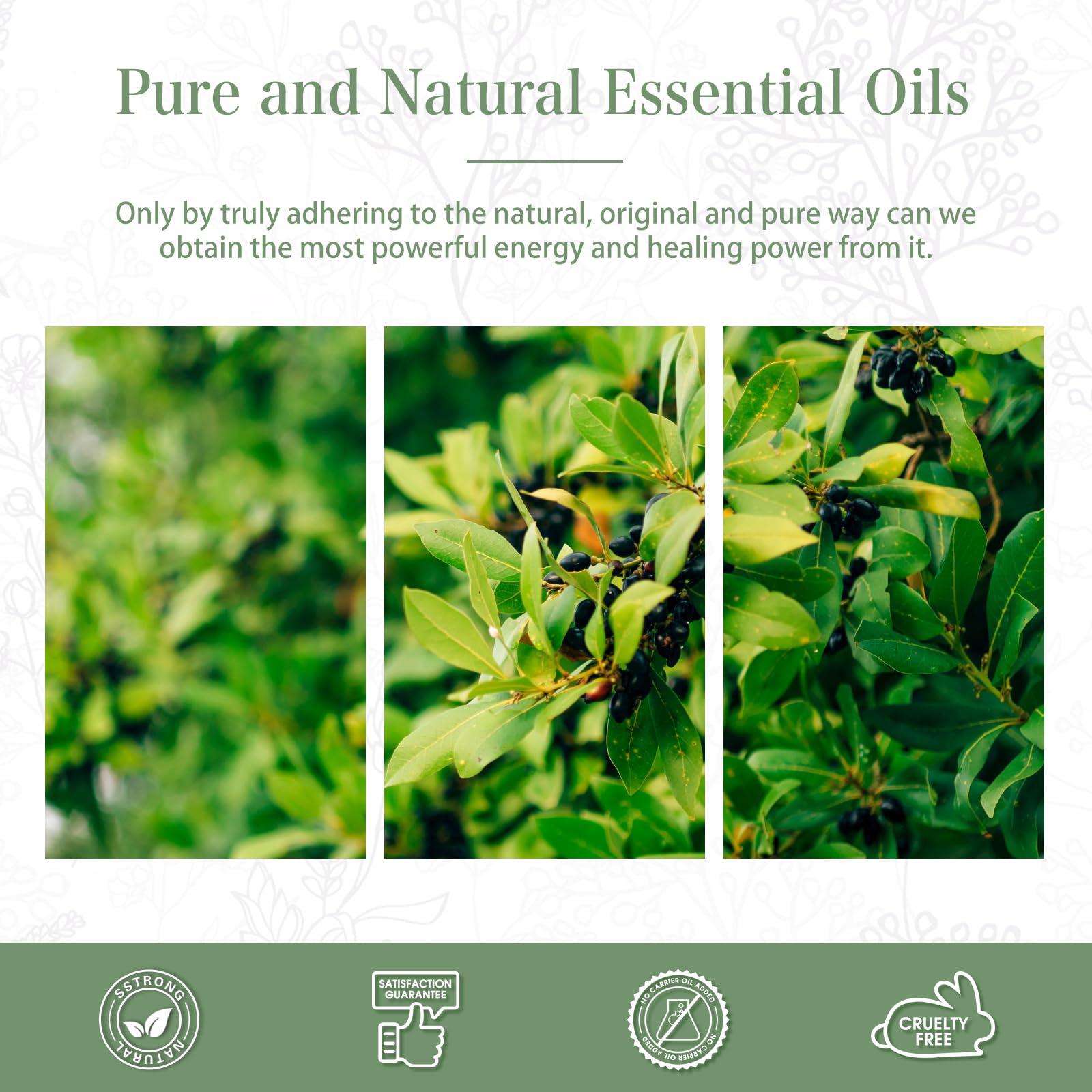 PHATOIL camphor essential oil bottle for home fragrance projects