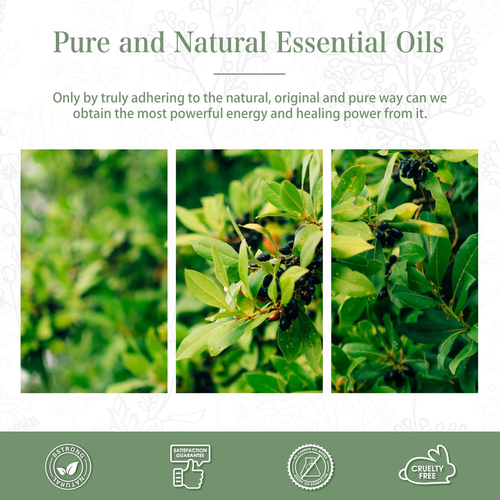 PHATOIL camphor essential oil bottle for home fragrance projects