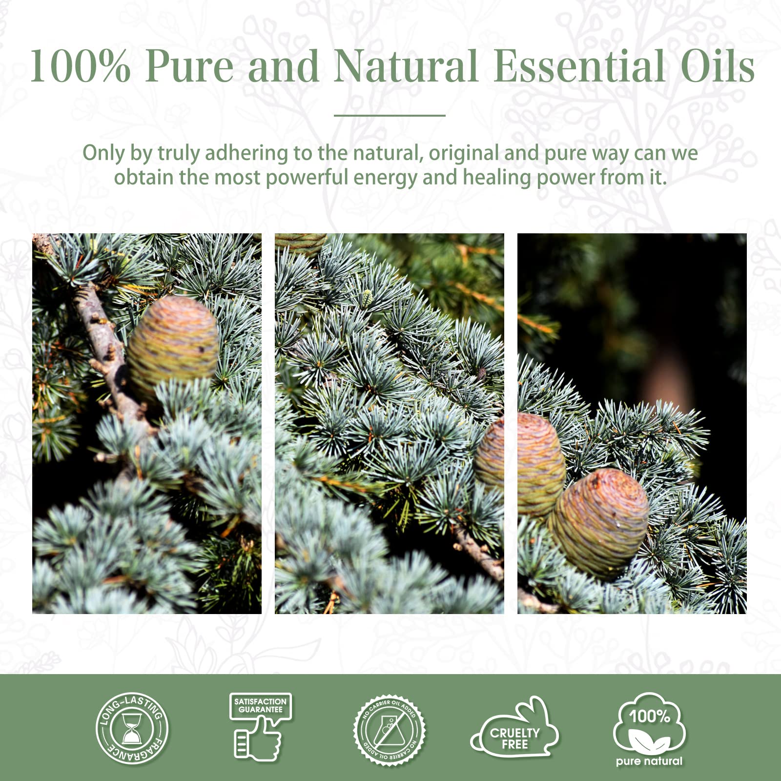 PHATOIL Cedarwood essential oil gift box ready to gift.