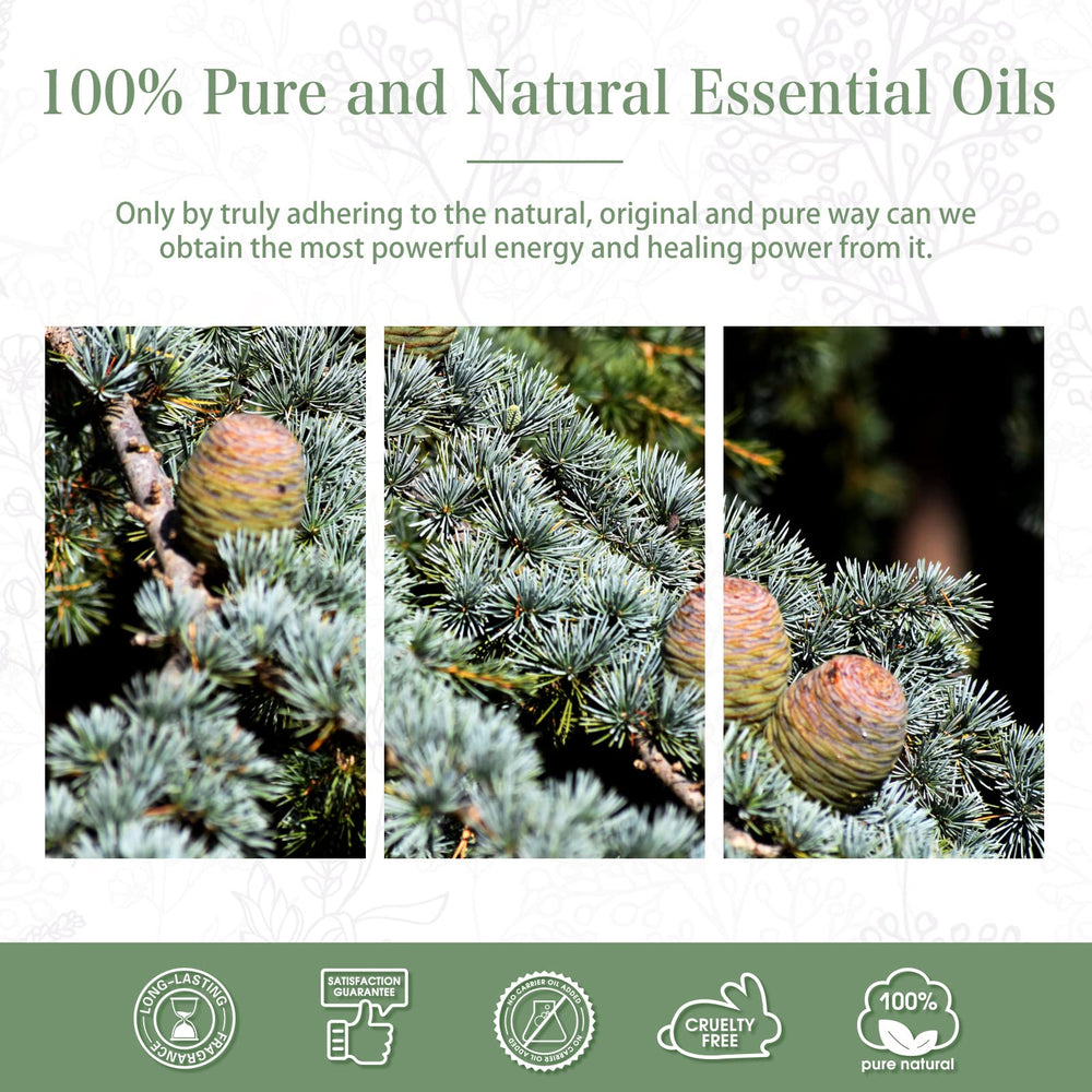 PHATOIL Cedarwood essential oil gift box ready to gift.
