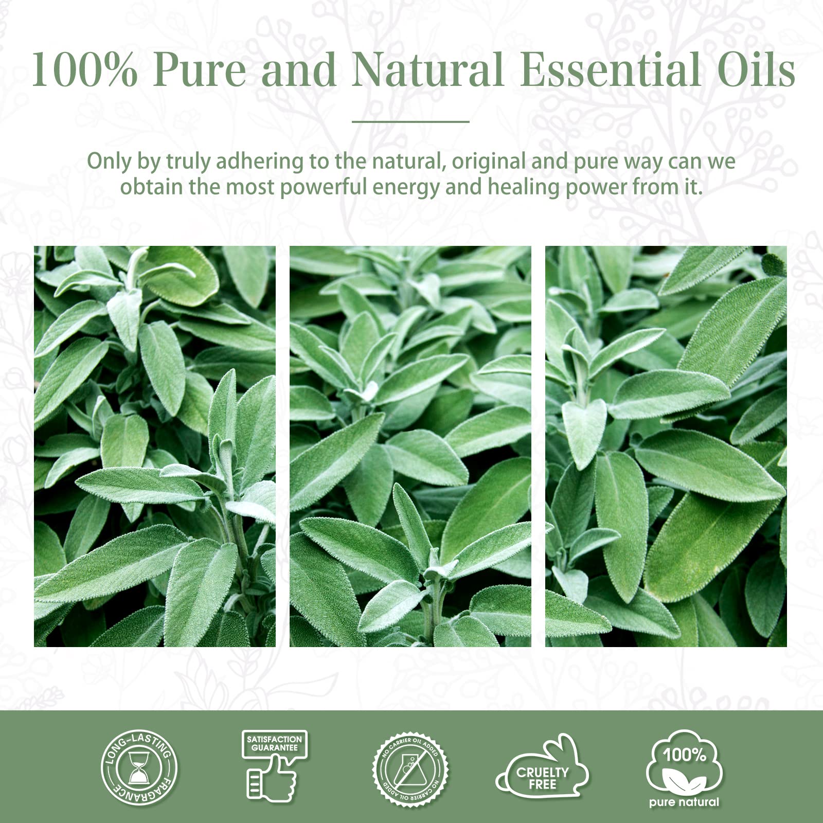 PHATOIL Clary Sage oil for DIY candle projects with soothing scent.