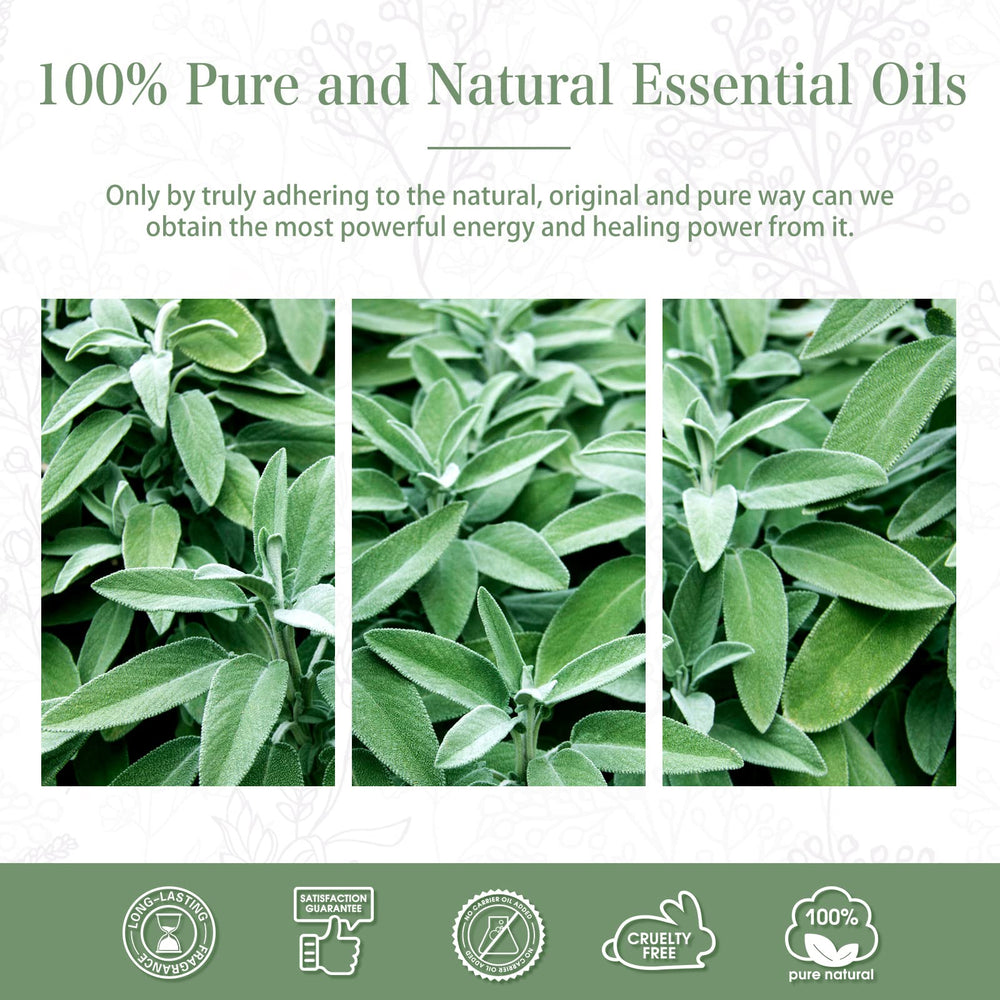 PHATOIL Clary Sage oil for DIY candle projects with soothing scent.