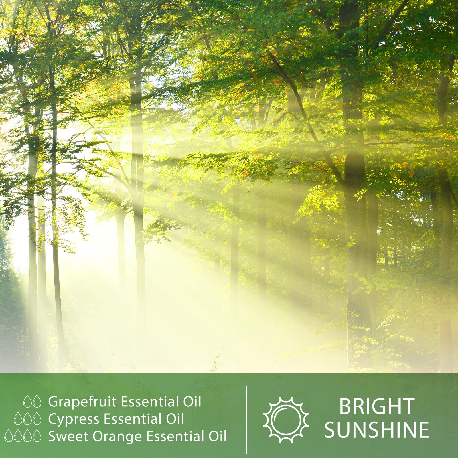 PHATOIL Cypress oil in premium amber bottle protects fragrance and quality.