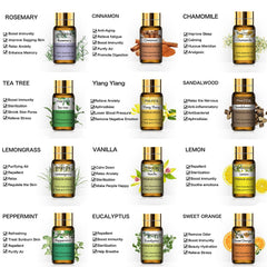 PHATOIL tea-tree bottle essential oil for refreshing diffusers