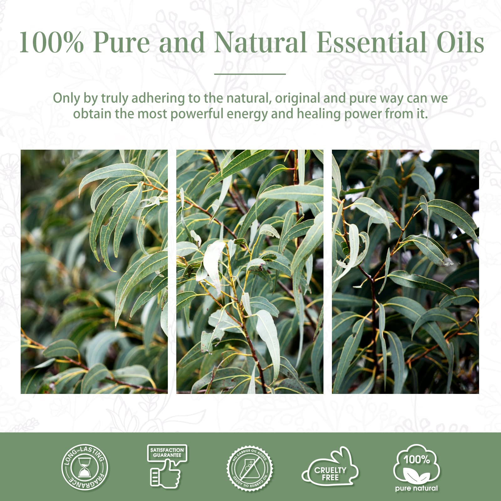 PHATOIL eucalyptus oil for cleaning products with refreshing aroma.
