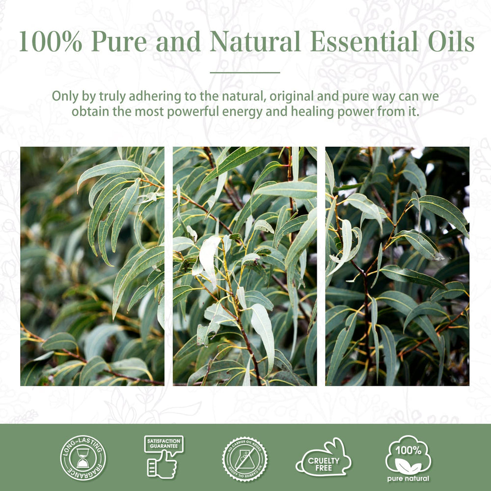 PHATOIL eucalyptus oil gift box suitable for gifting