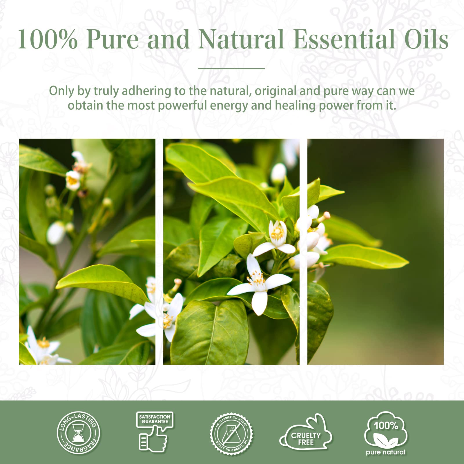 Gift-ready PHATOIL Neroli oil box showcasing elegant packaging.
