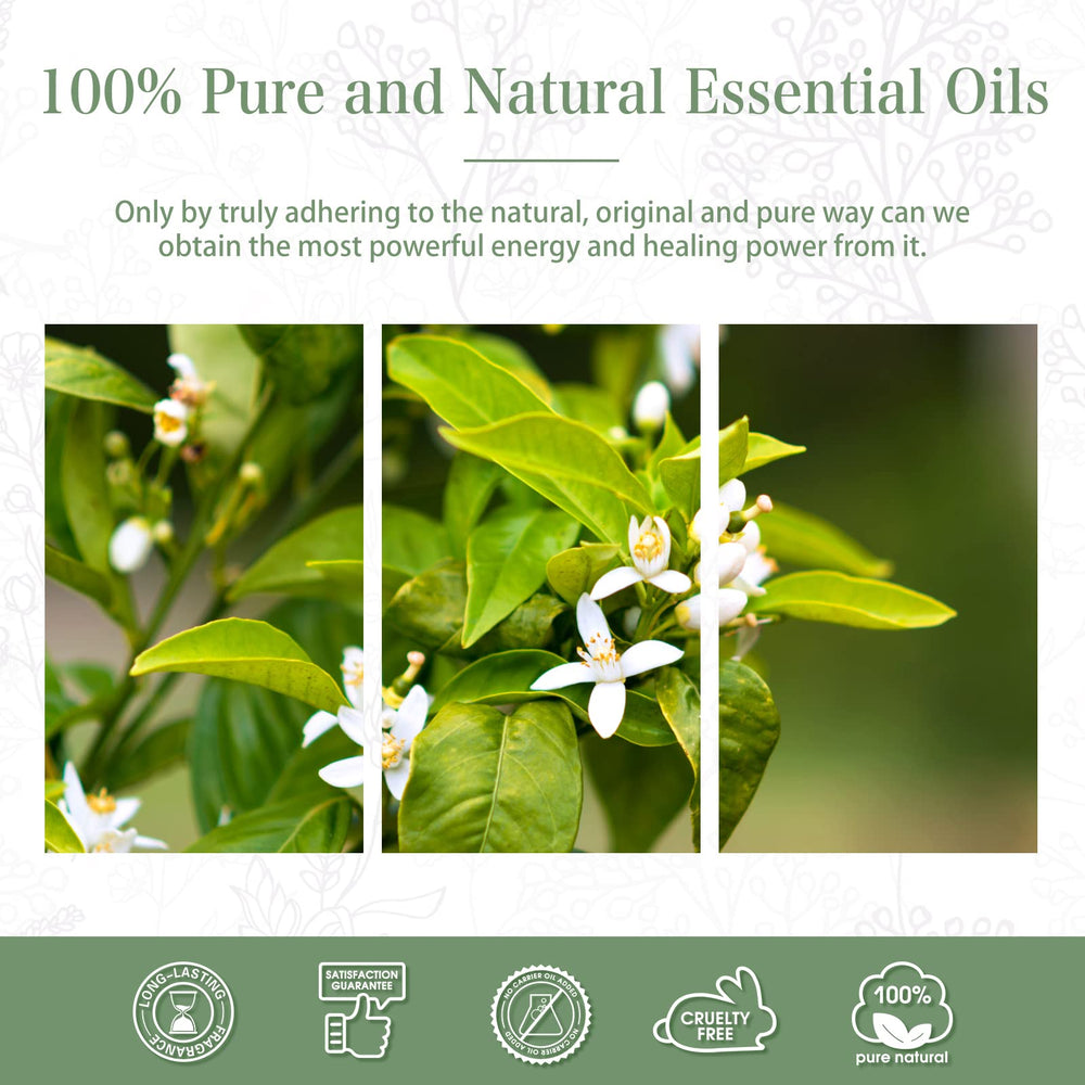 Gift-ready PHATOIL Neroli oil box showcasing elegant packaging.