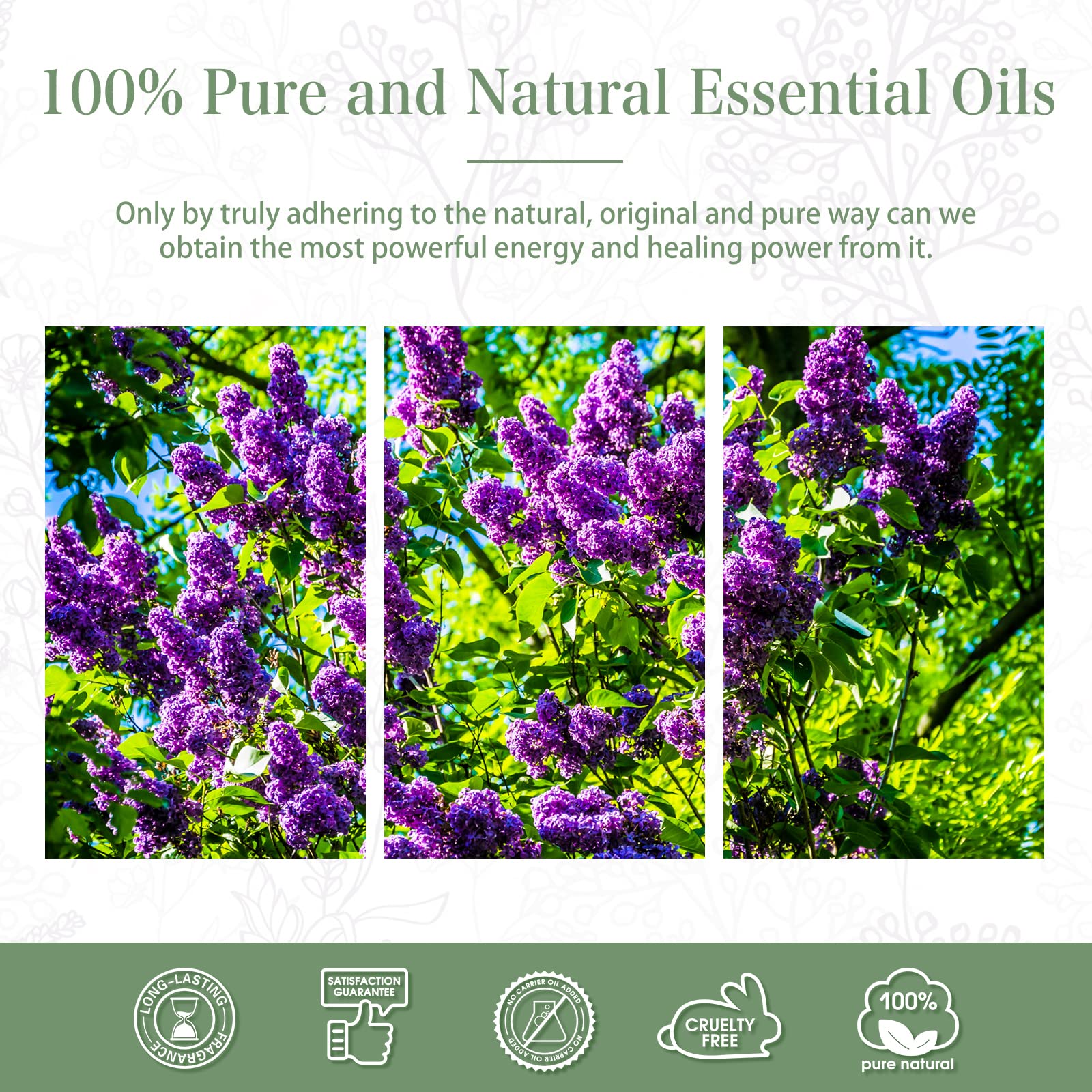 PHATOIL ready-to-use kit supports kitchen, office, and living spaces.