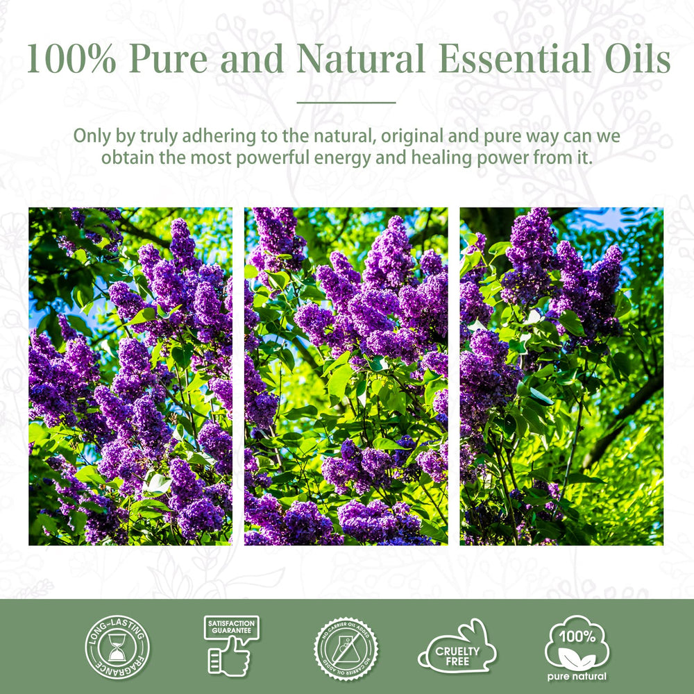 PHATOIL ready-to-use kit supports kitchen, office, and living spaces.