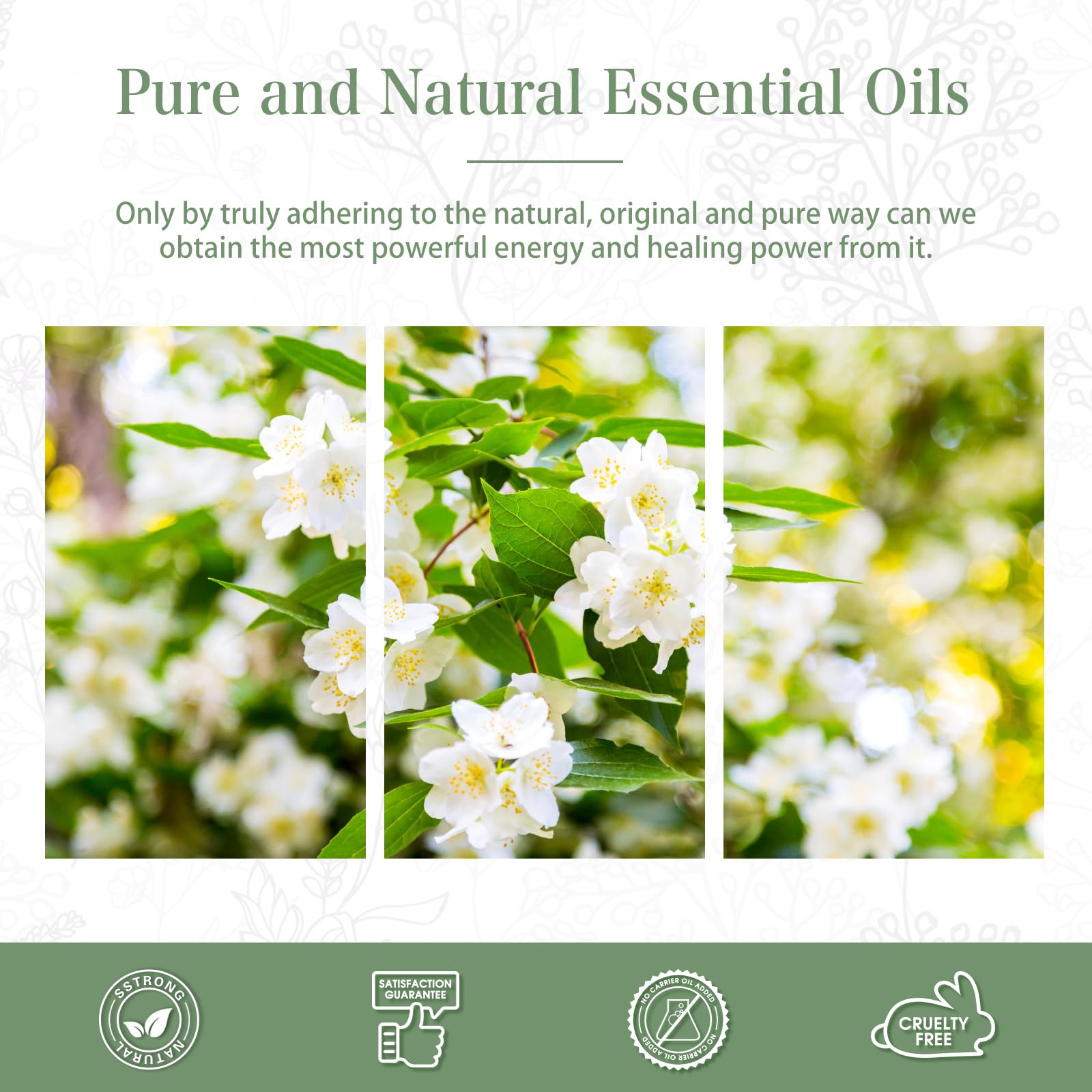 PHATOIL Jasmine for DIY candle making delivers lasting scent