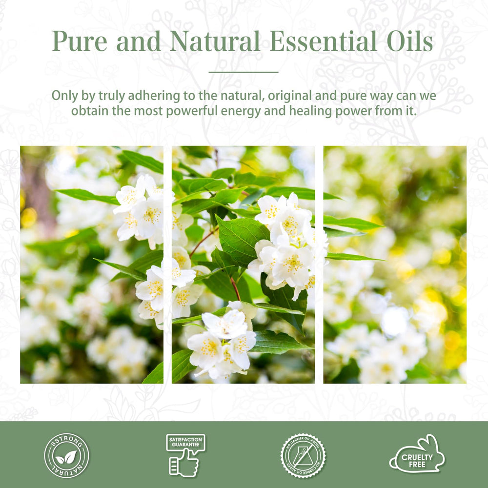 PHATOIL Jasmine for DIY candle making delivers lasting scent