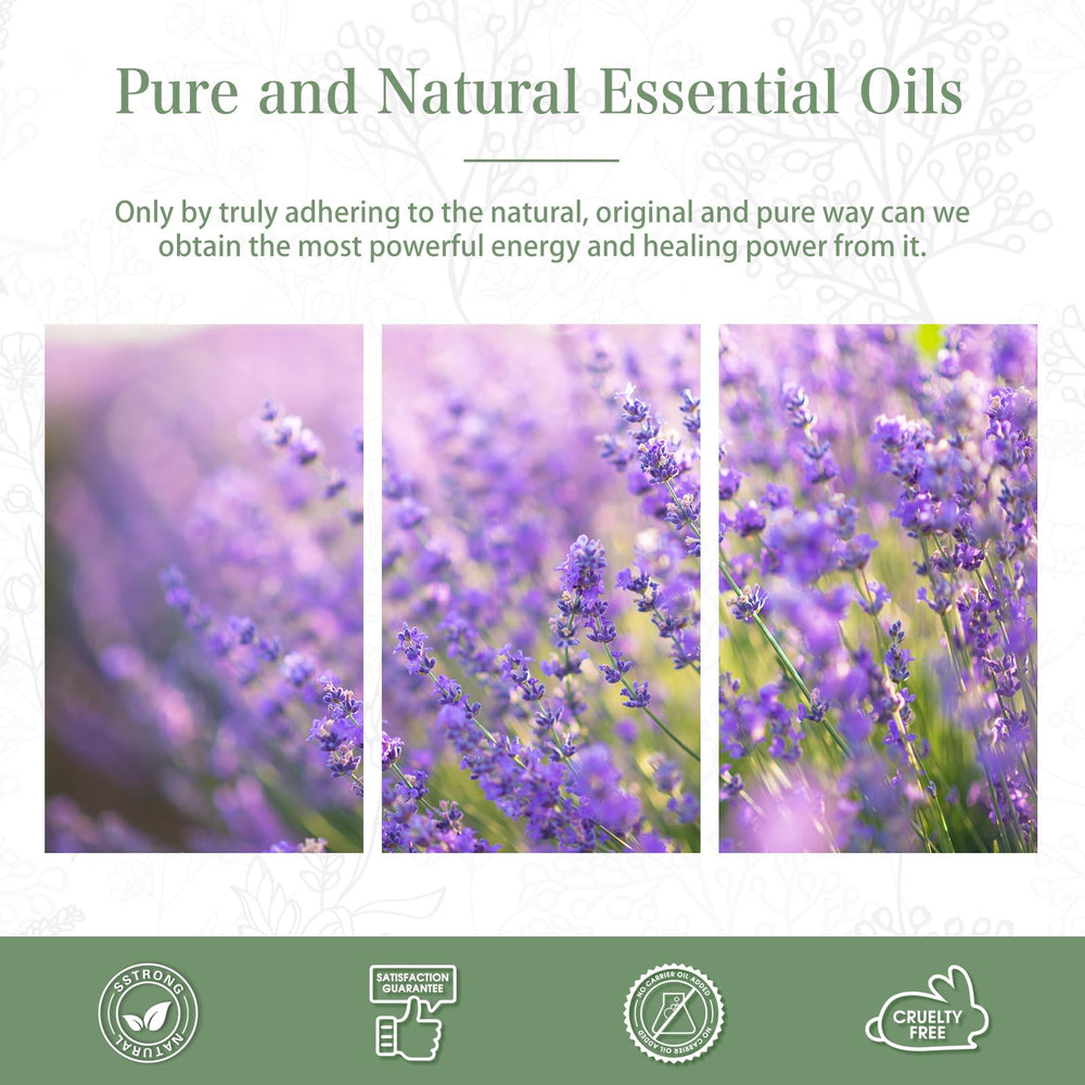 PHATOIL Lavender buds and oil ideal for relaxing bath rituals.