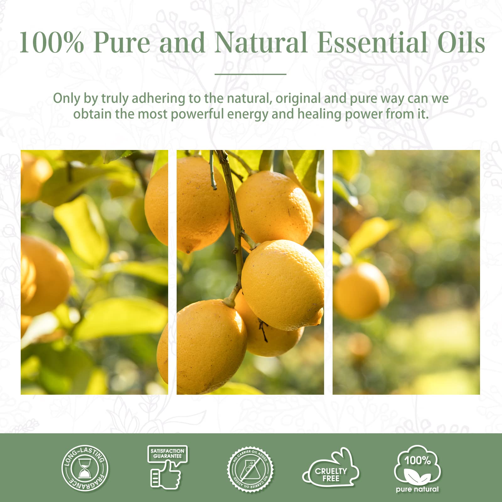 PHATOIL Lemon essential oil ideal for soap making with citrus brightness