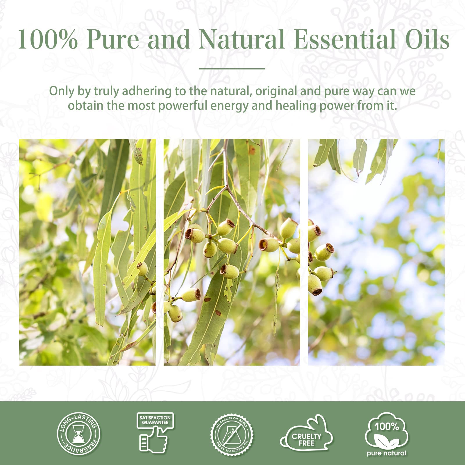 PHATOIL Lemon Eucalyptus in a humidifier for a pleasant room aroma