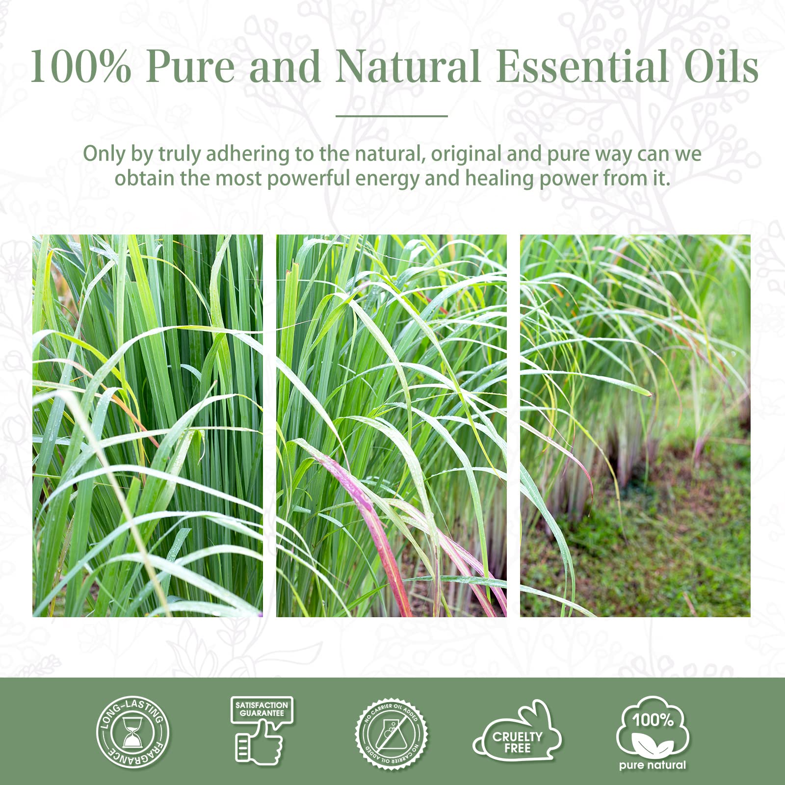PHATOIL Lemongrass oil in UV amber bottle preserves freshness.