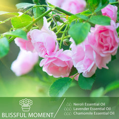 PHATOIL Neroli oil in diffuser scene delivering ambient aroma.