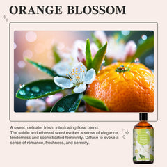 PHATOIL Orange Blossom diffuser scene showing rich aroma