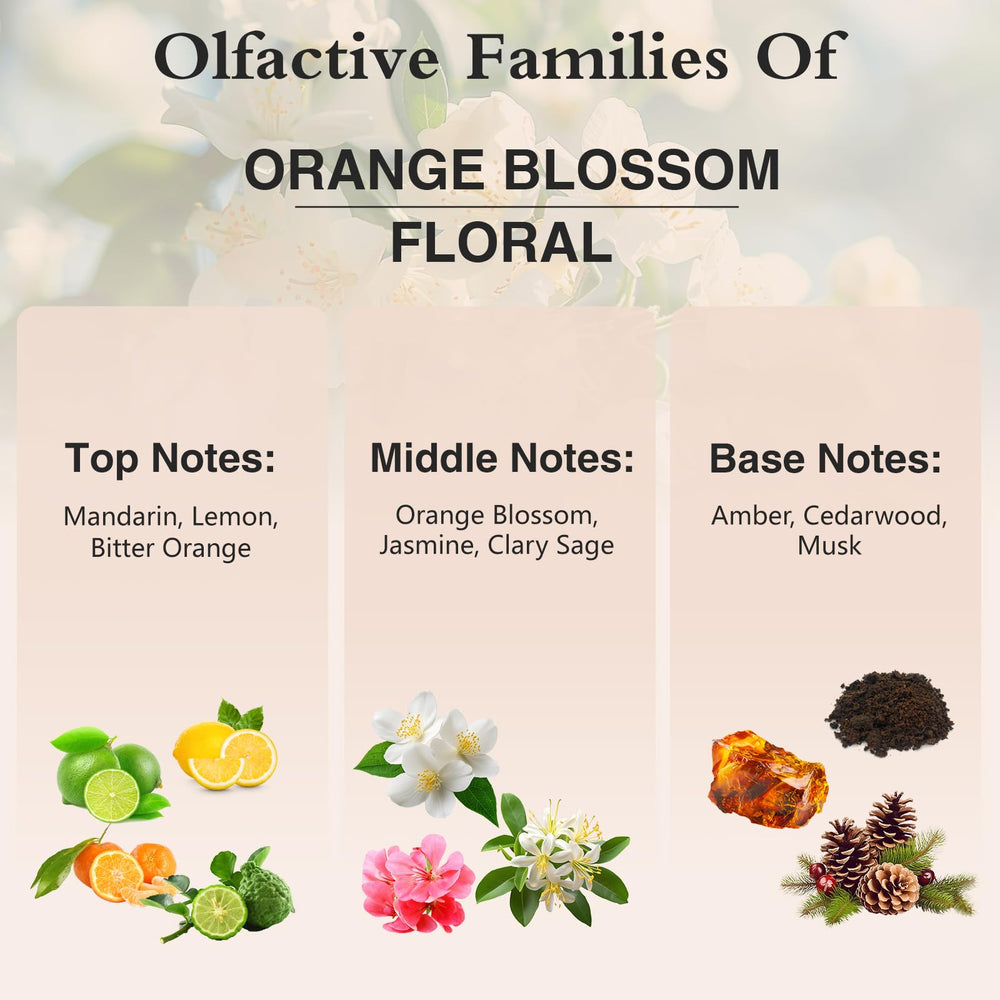 PHATOIL Orange Blossom humidifier setup releasing a soft scent