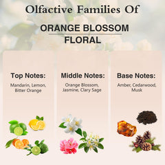 PHATOIL Orange Blossom humidifier setup releasing a soft scent
