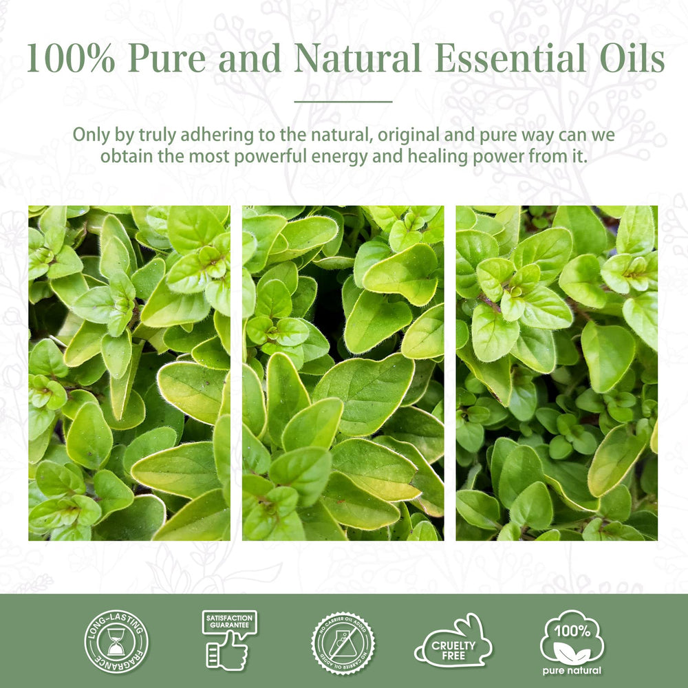 PHATOIL Oregano oil blends for home cleaning and fresh scents.