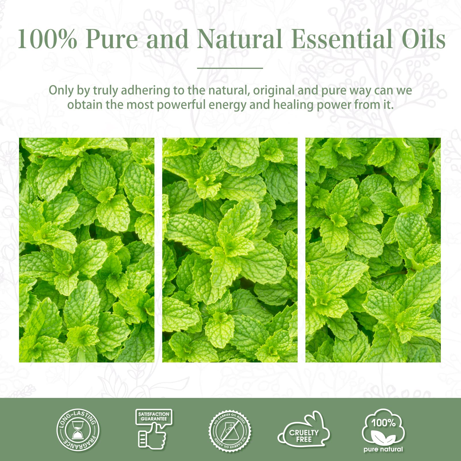 PHATOIL Peppermint Essential Oil amber bottle preserving freshness.