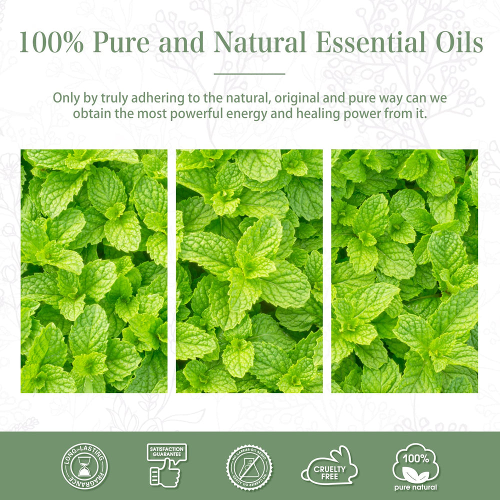 PHATOIL Peppermint Essential Oil amber bottle preserving freshness.